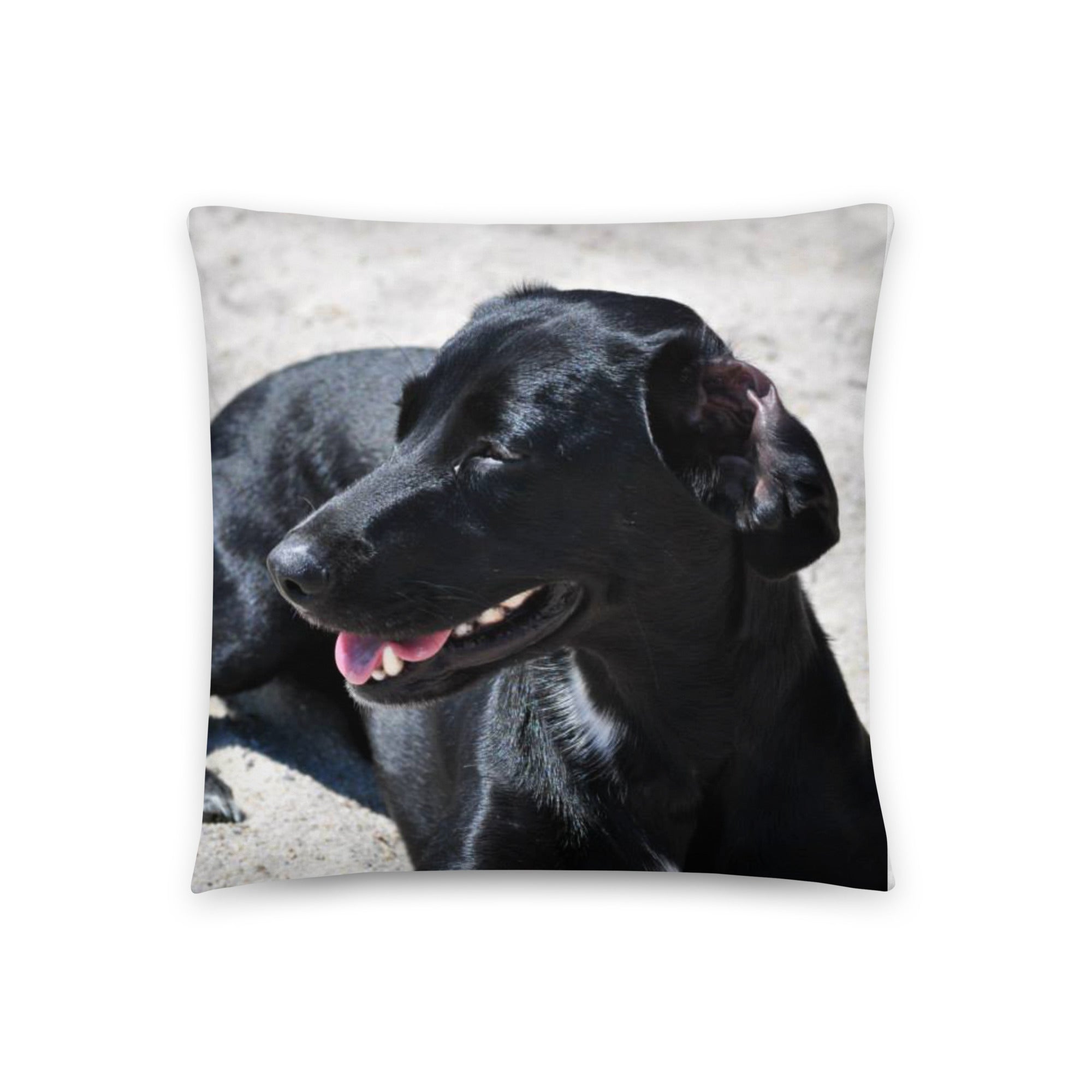 For Becky ~ Basic Pillow "D's Dog"