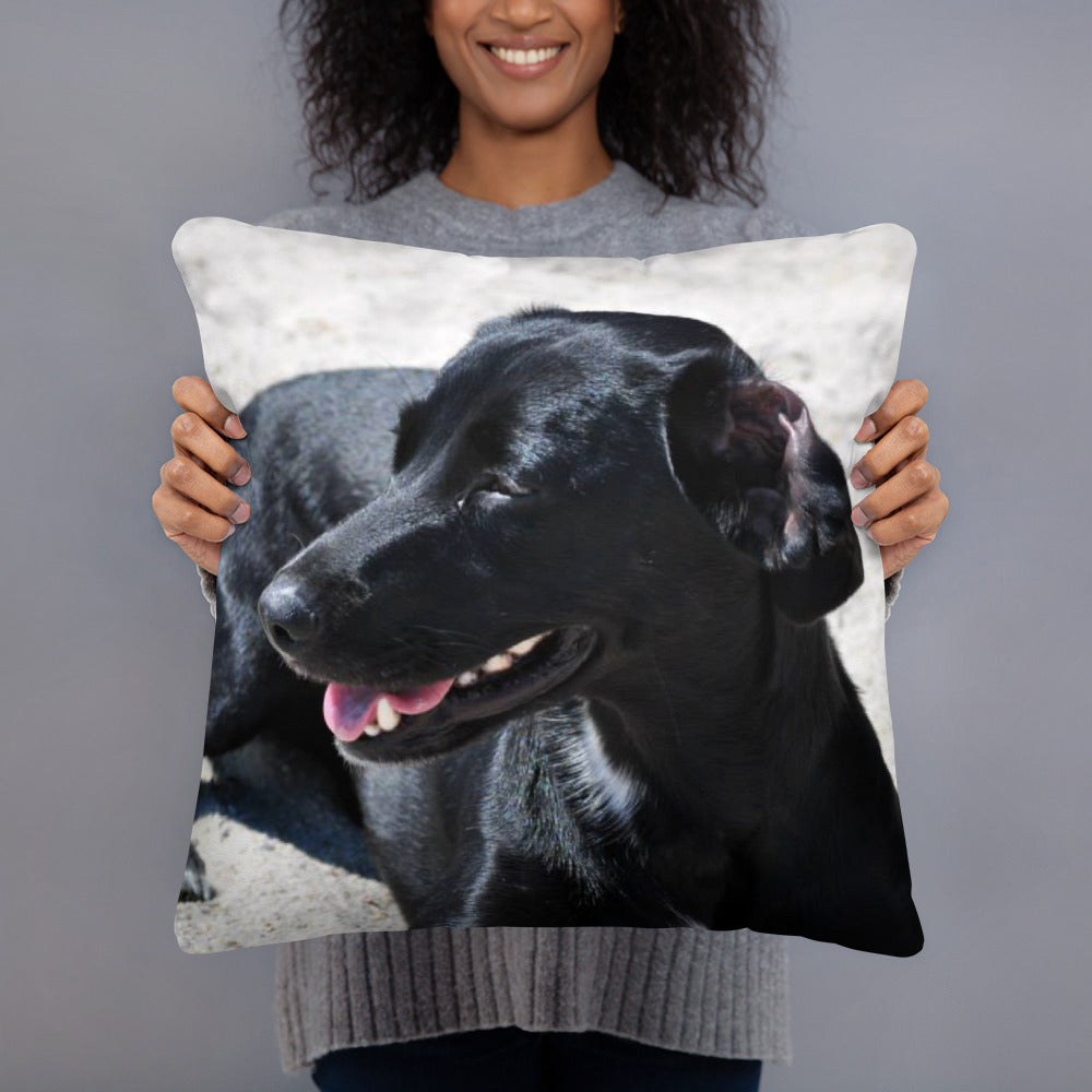 For Becky ~ Basic Pillow "D's Dog"